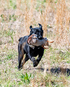 216_Griffey_020_G19spr_w