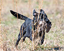 216_Griffey_011_G19spr_w