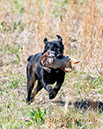 216_Griffey_020_G19spr_w